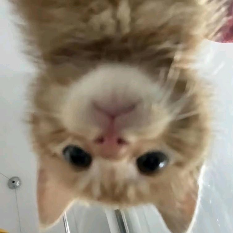 ...........
