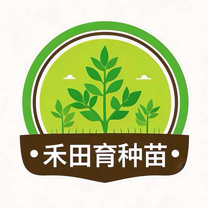 寿光禾田育种苗