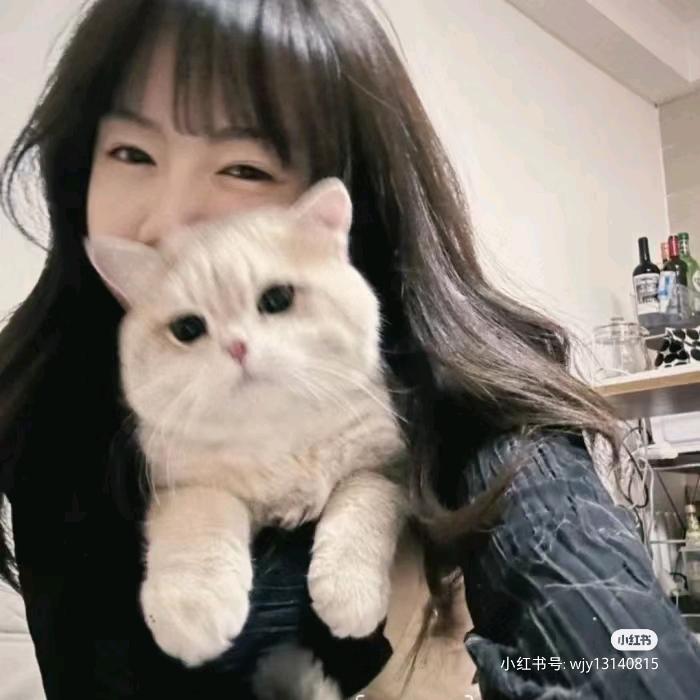 李子酸