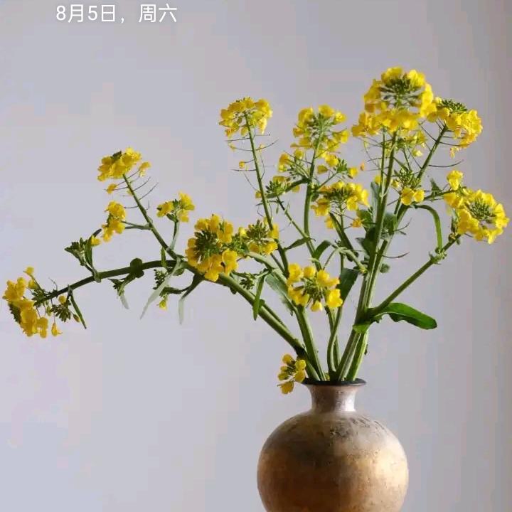 一生幸福8