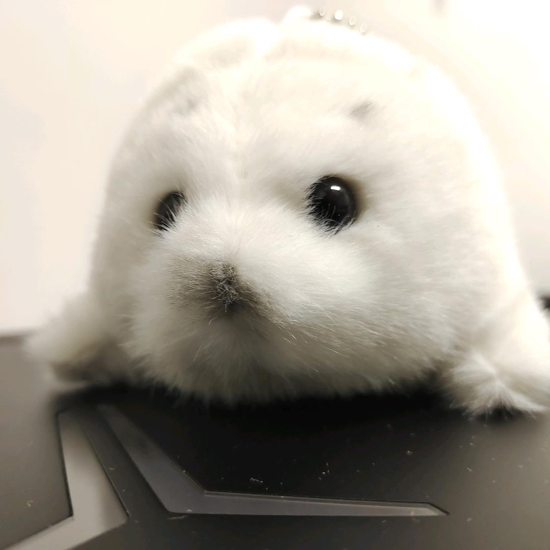 小利