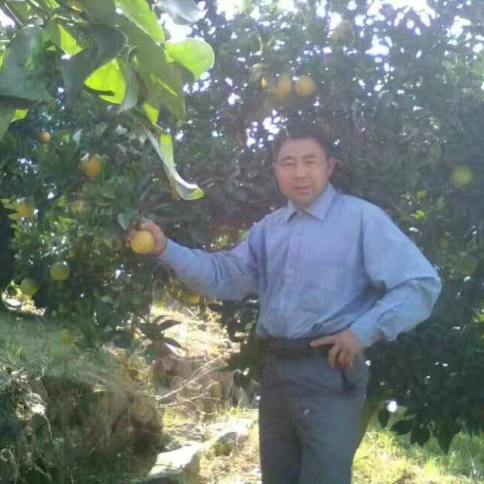 脐橙哥〈纽荷尔脐橙）