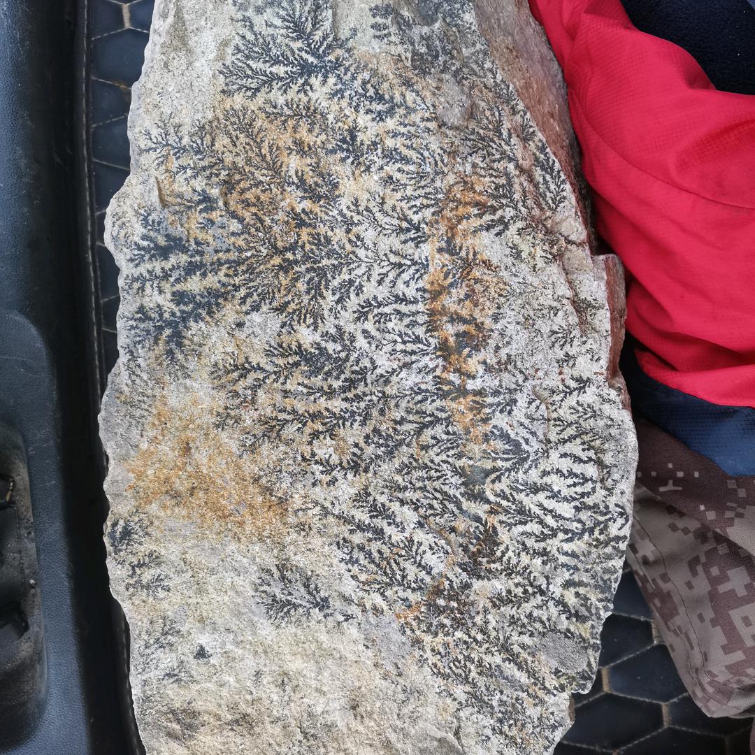 刘先生🧚‍♂️