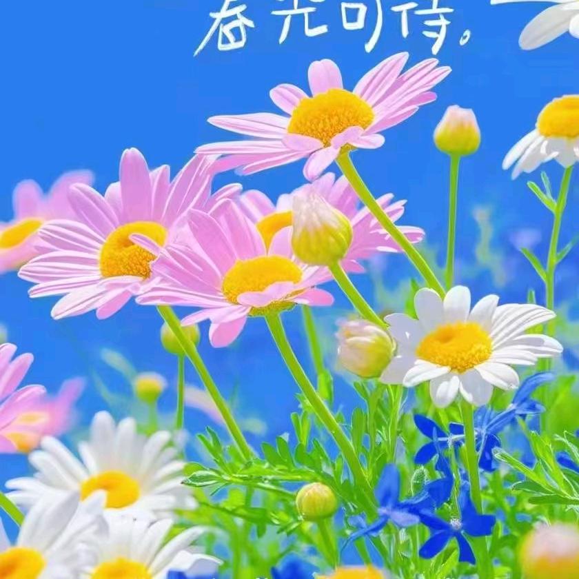 郑东冠齿爱牙人