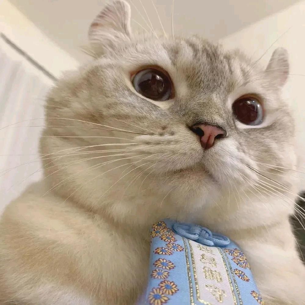 渺渺