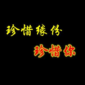 惠州大亚湾中州梨园艺术团团长