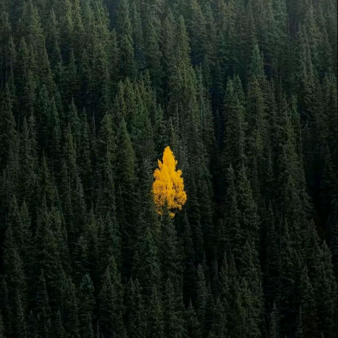 父母给的这叫背景！自己拼的那叫做江山！