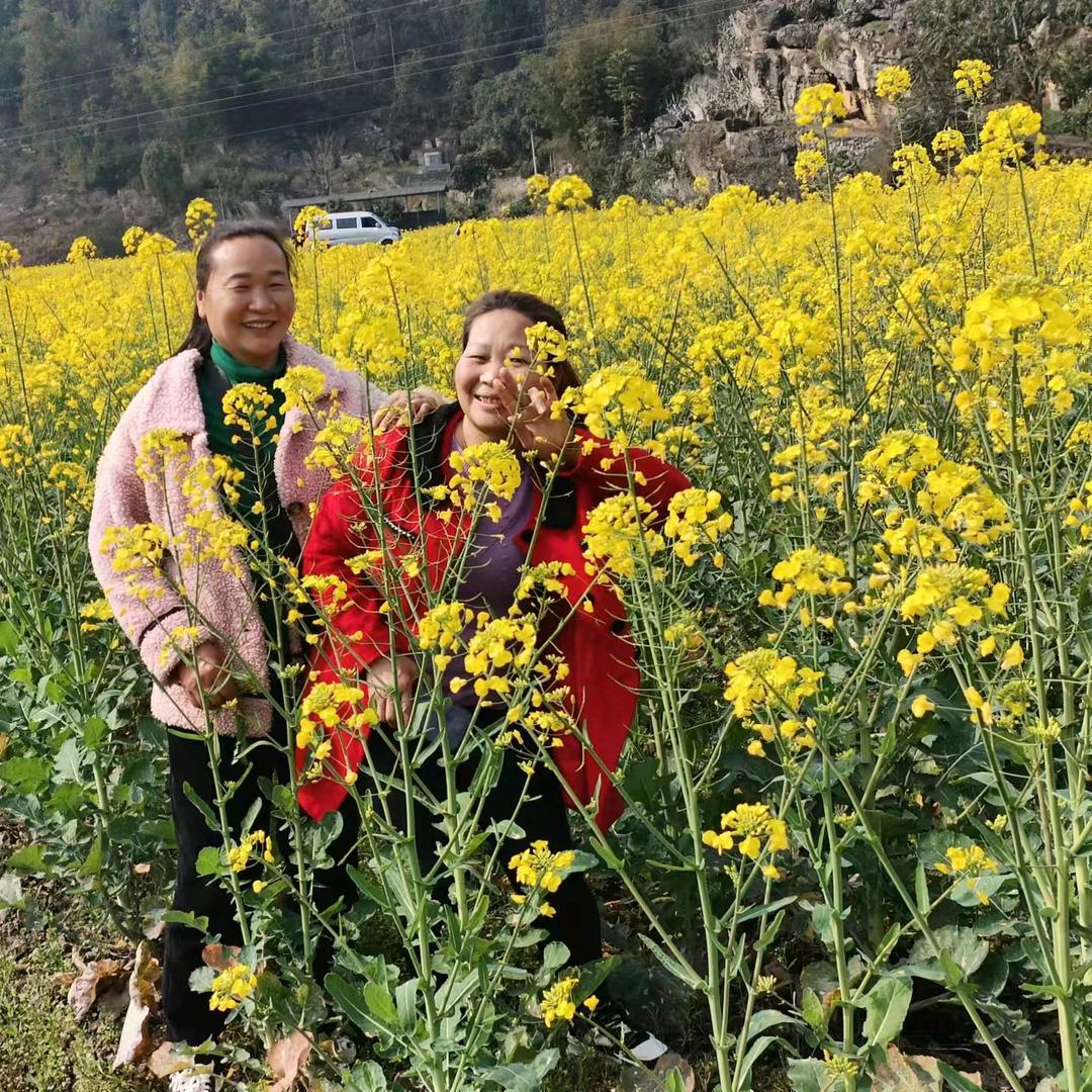 花痴