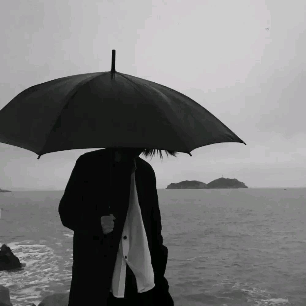 词清不辞卿