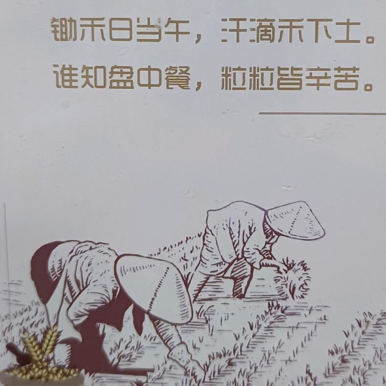 一点小故事