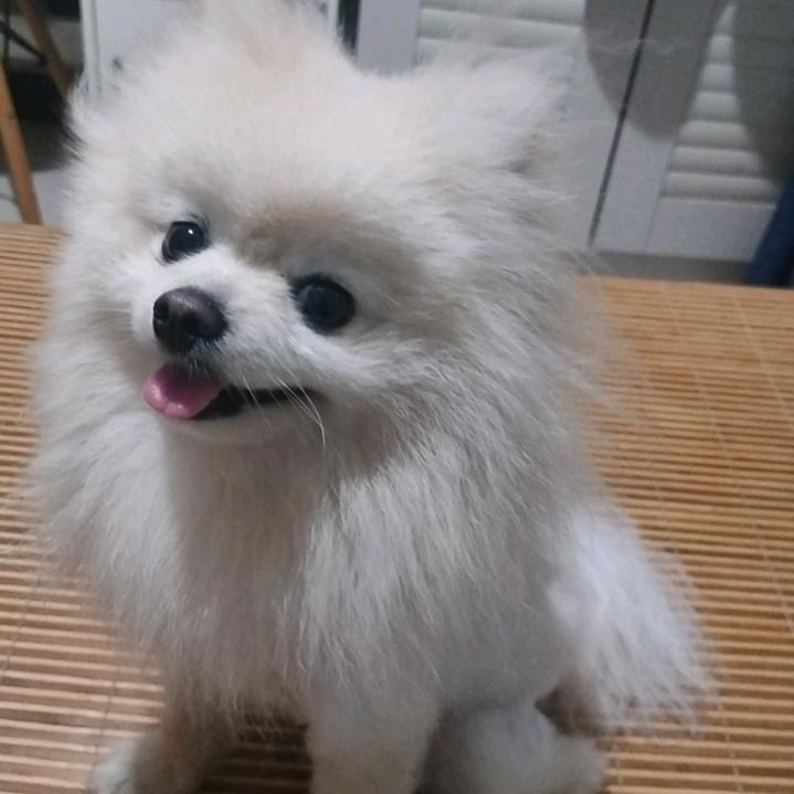 落小馨吖