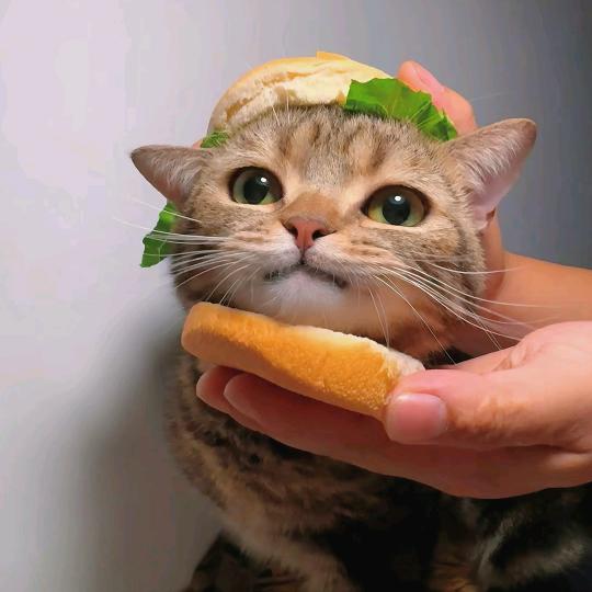 小池大王