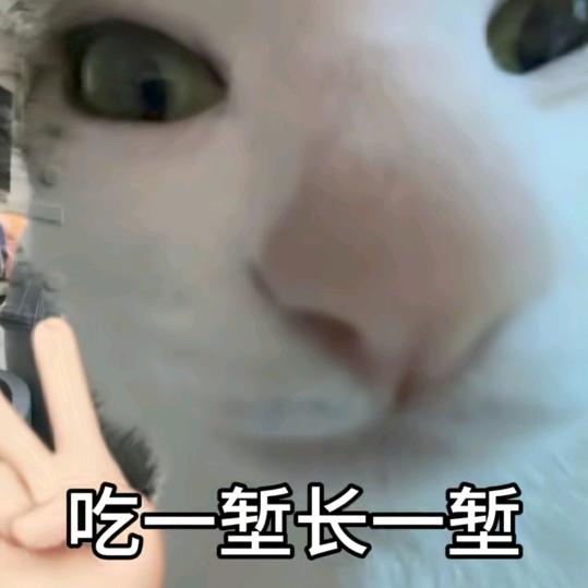 伤心寂寞78本曦