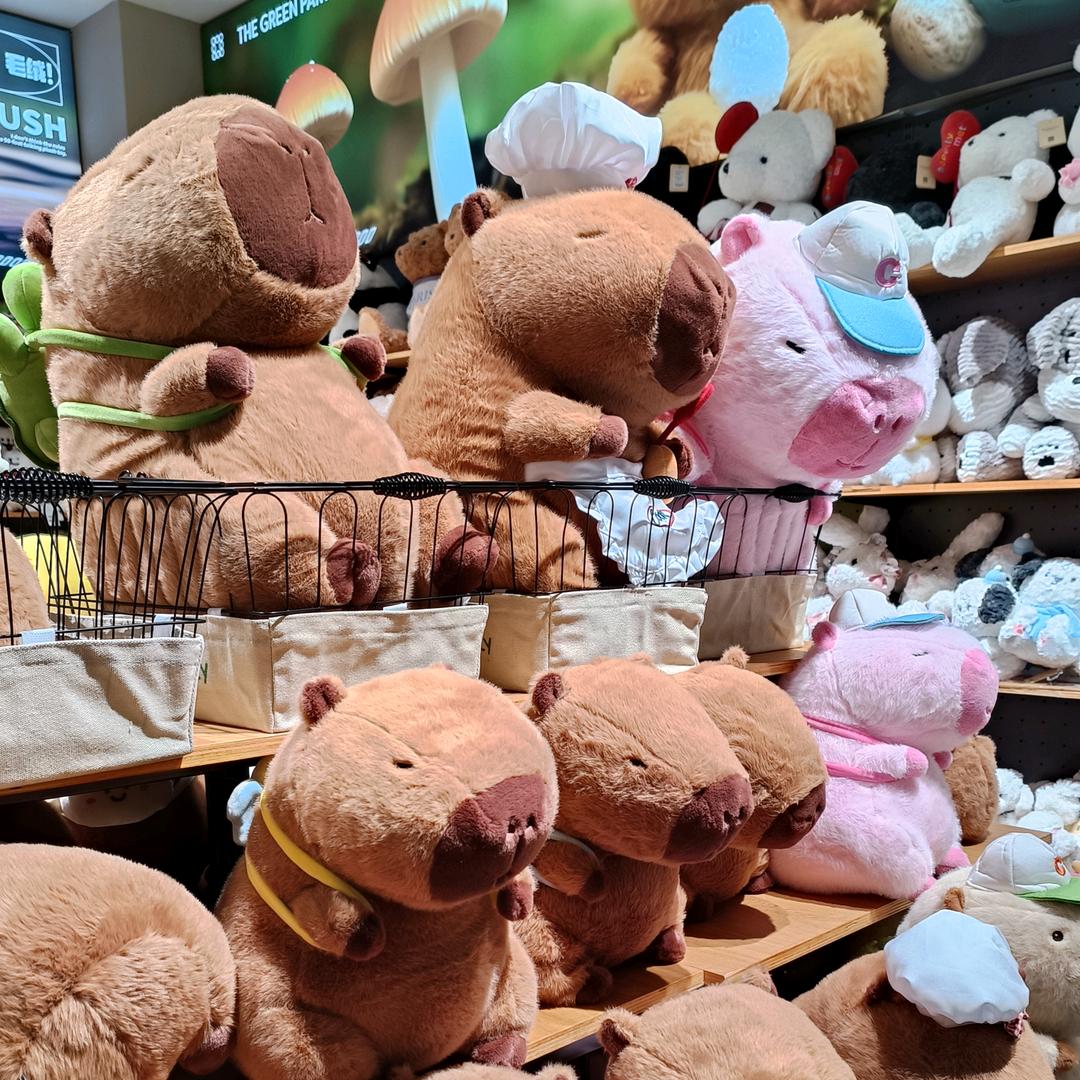 娃哈哈