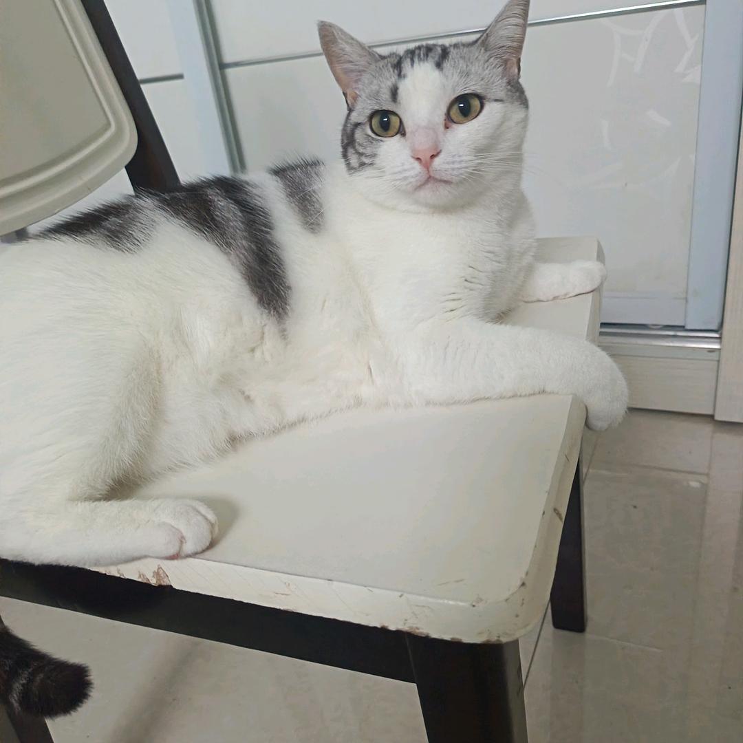 温暖春夭（6，30开播）