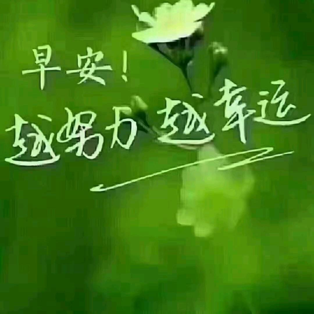 一帆风顺