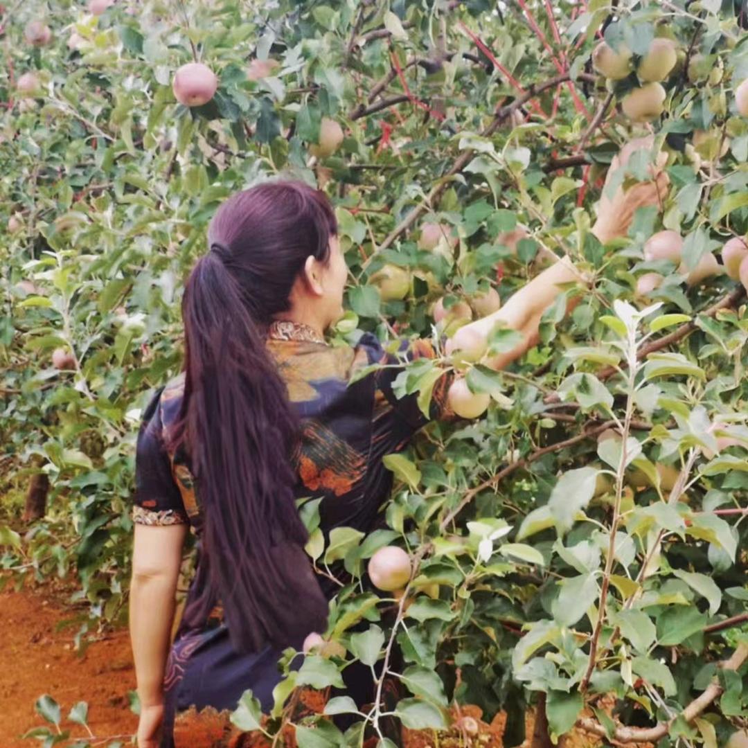 杨姐.