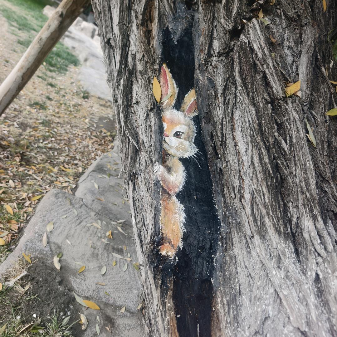 阳光灿烂