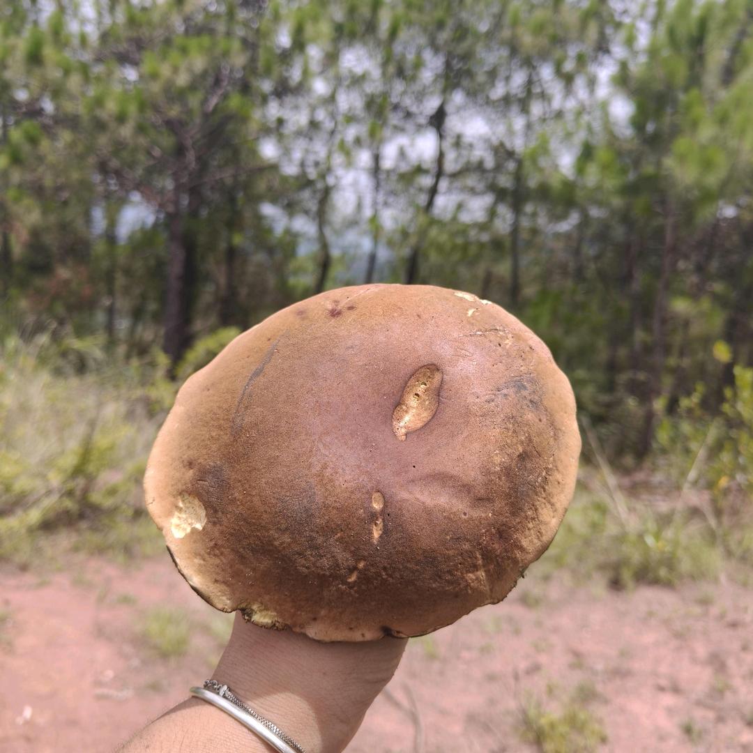 酒香不怕巷子深
