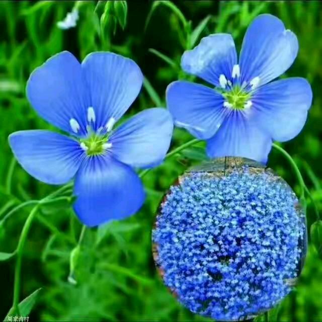 懂得珍惜才配拥有