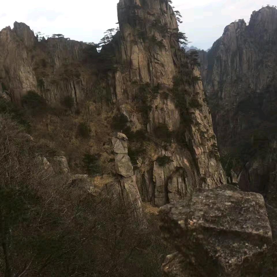 铲车哥
