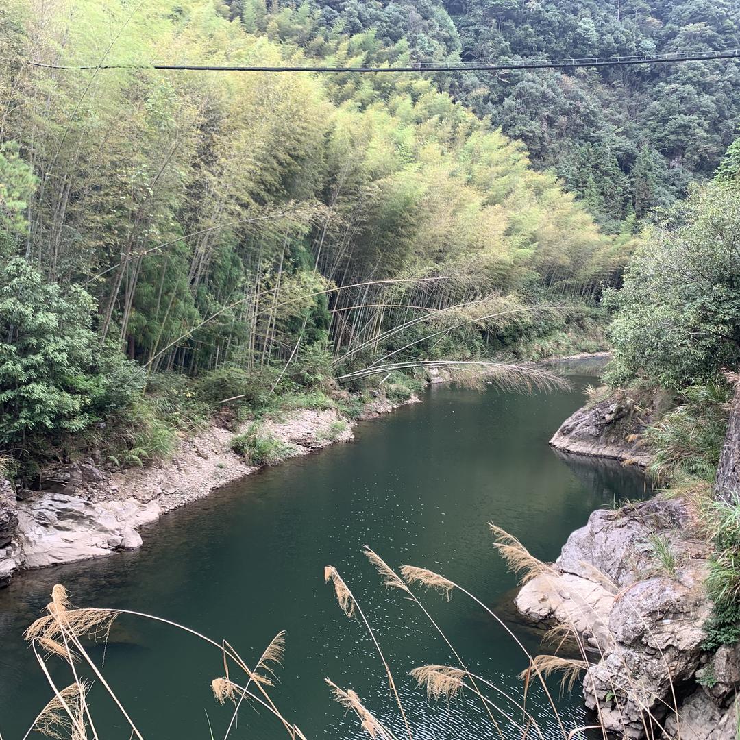 准备做老板的优秀青年🌹