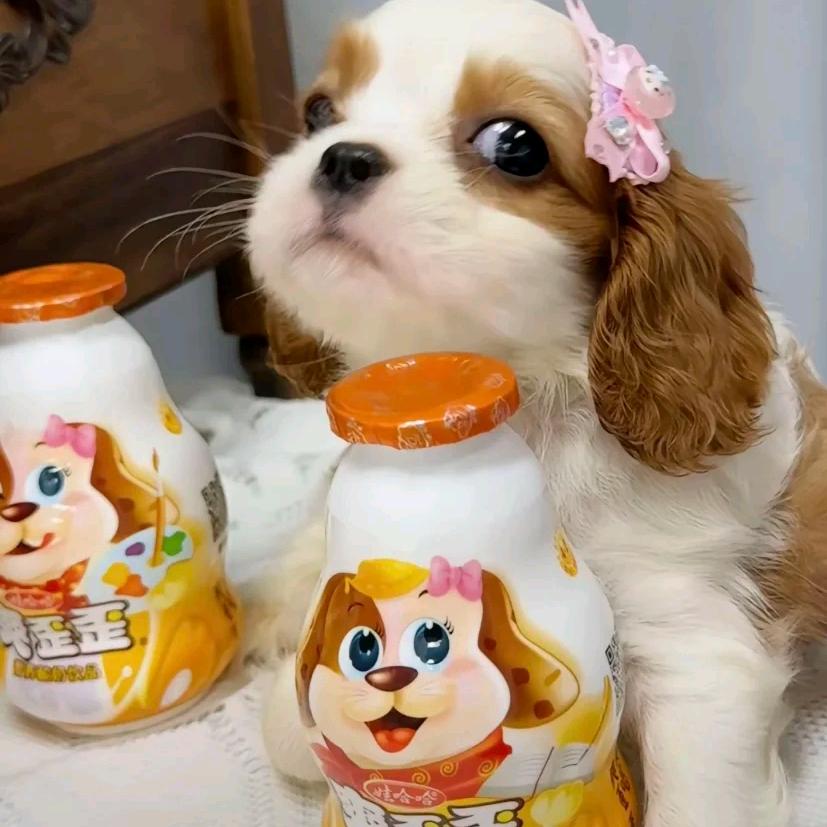 爽歪歪