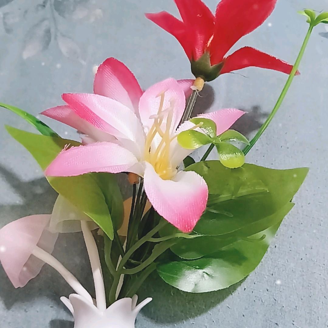 许文强