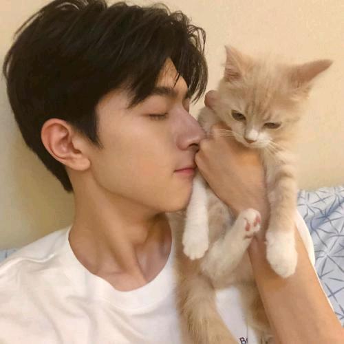 不吃鱼的🐱猫