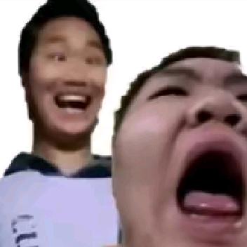 幼稚处就是一群跟风犬