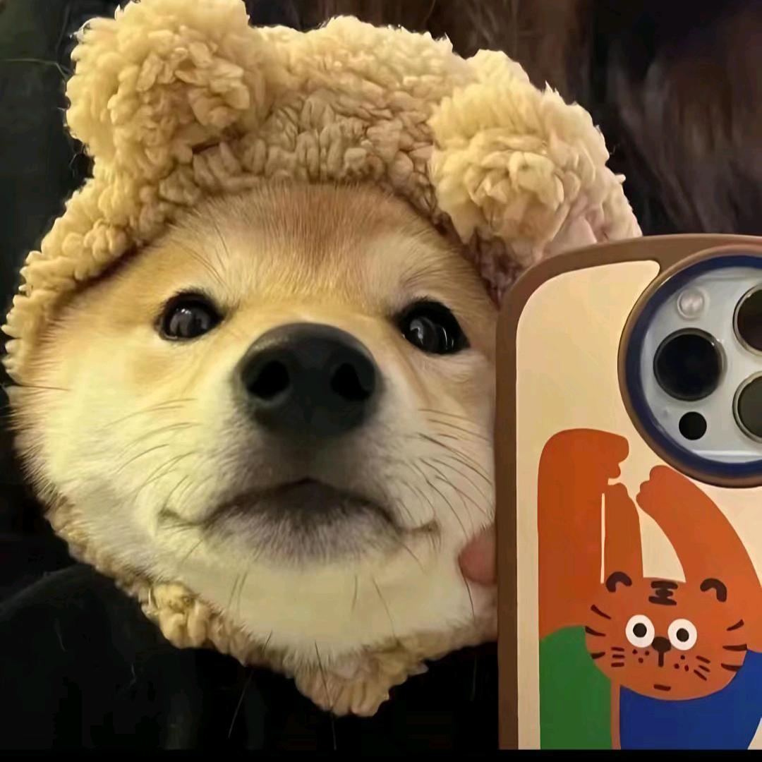 水面之子狗🐶🎣