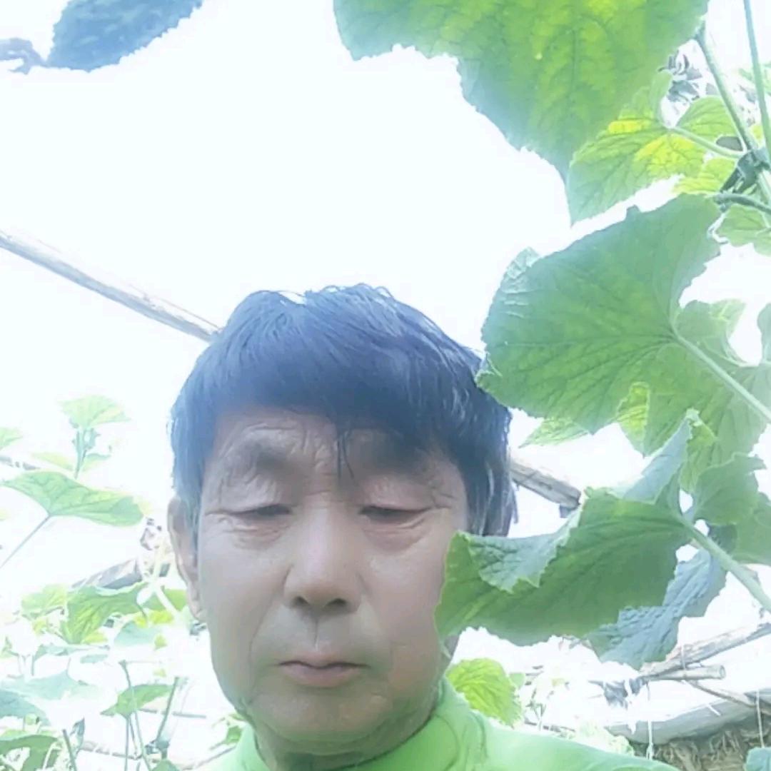 明天会更好