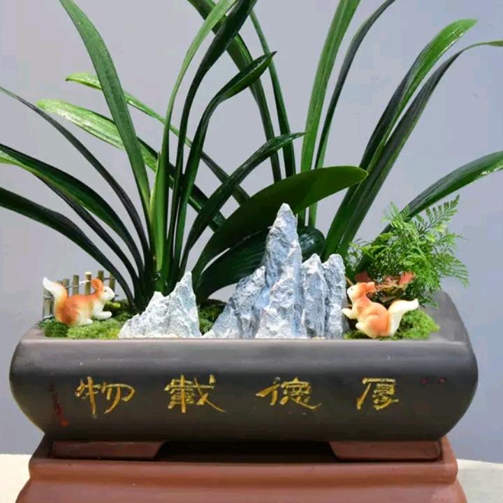 镇巴县巴庙镇电器销售维修部