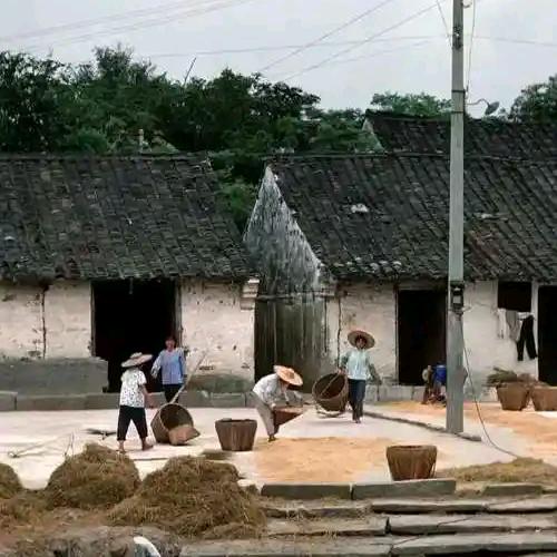 80年代经典回放