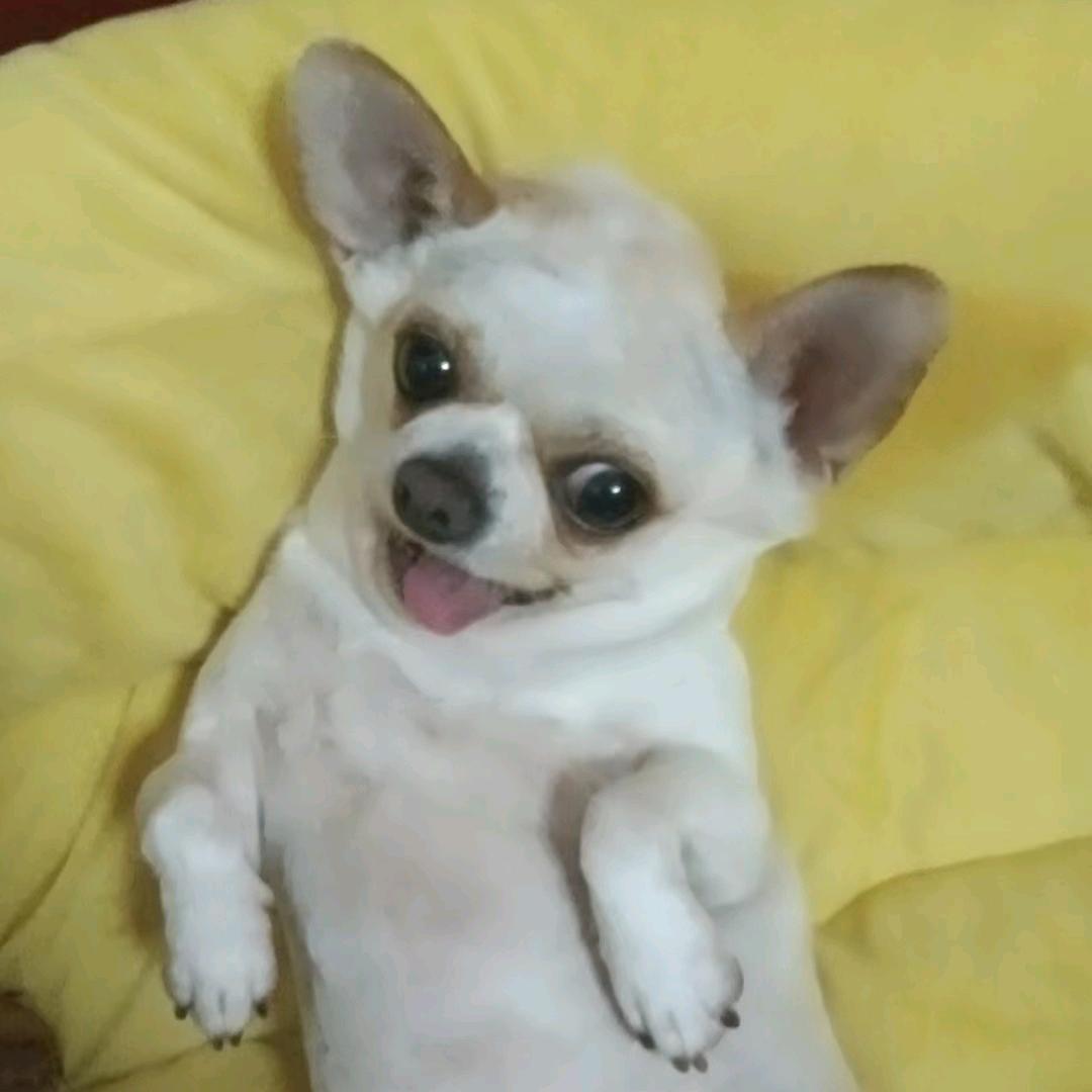 唐纪卤菜