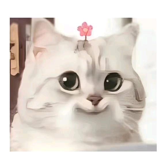 慕有枝