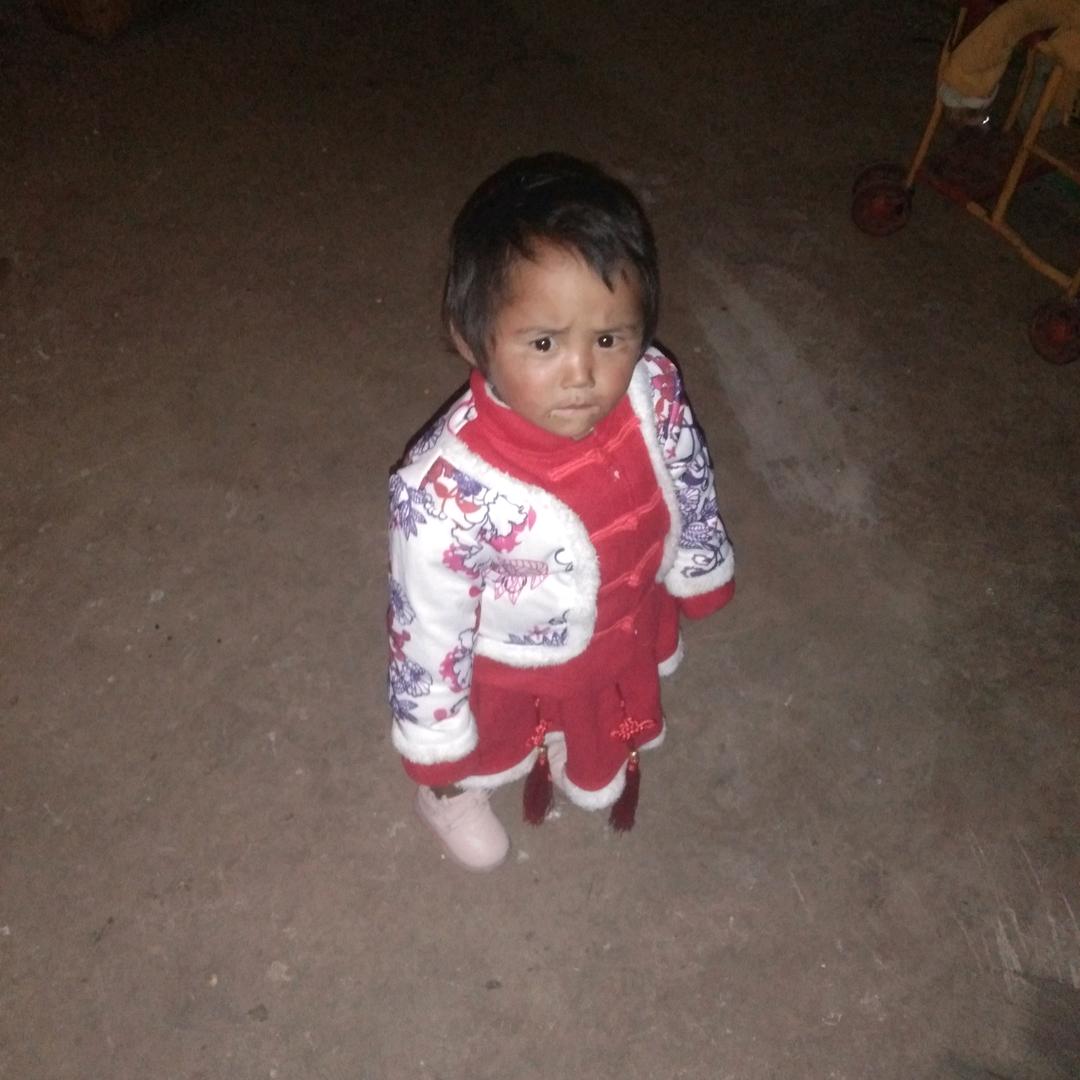 何氏家族抖音群