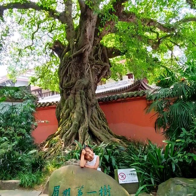 走向幸福