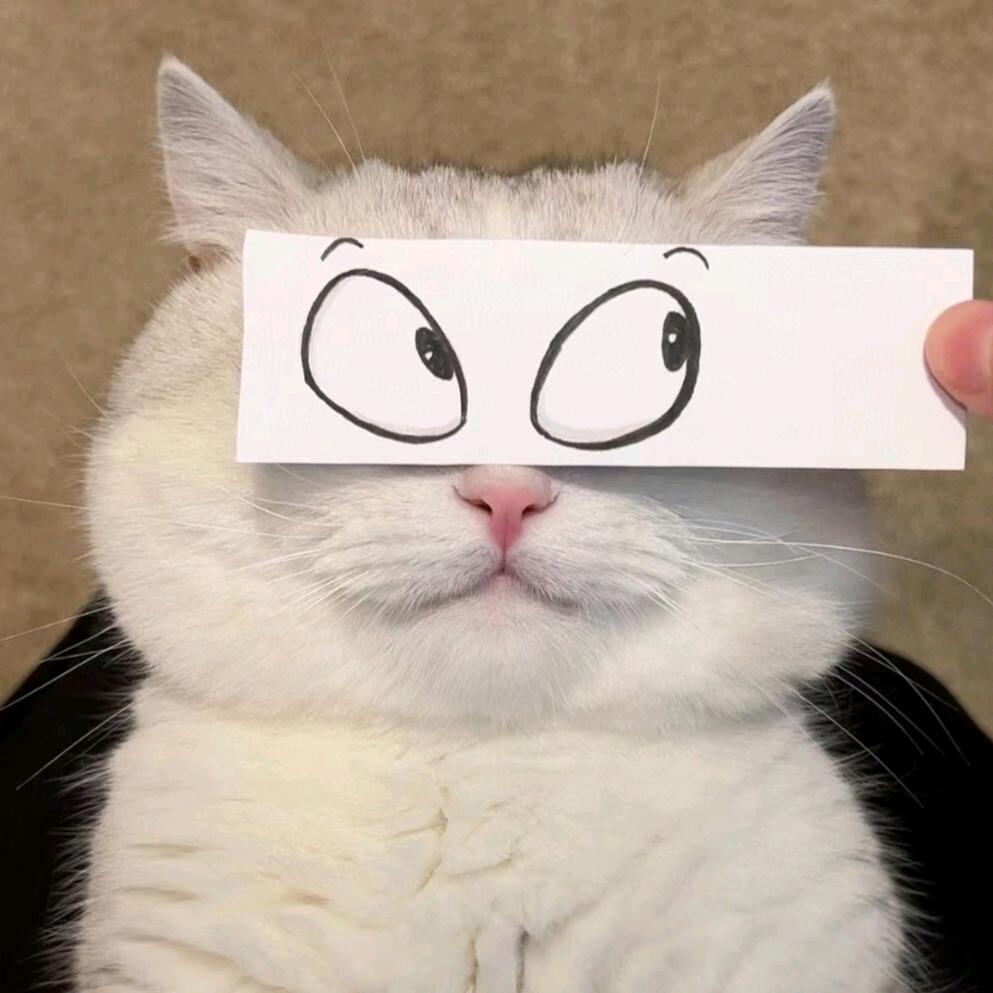 想自由