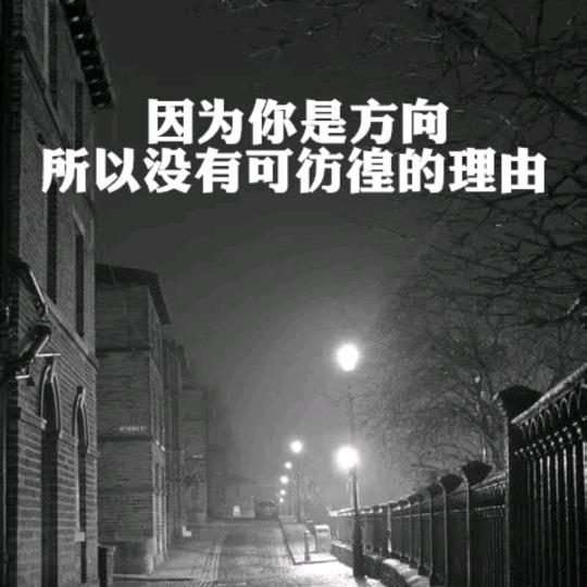@张安世
