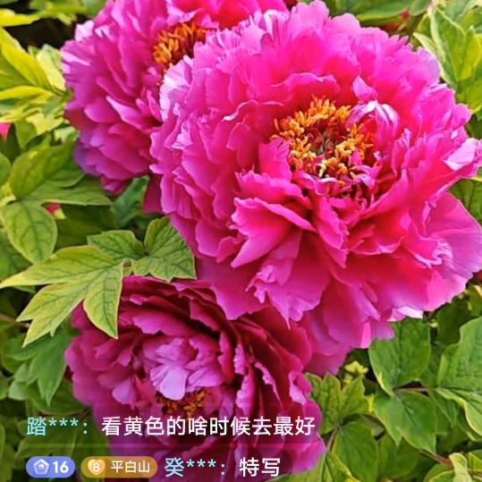 珍惜一生