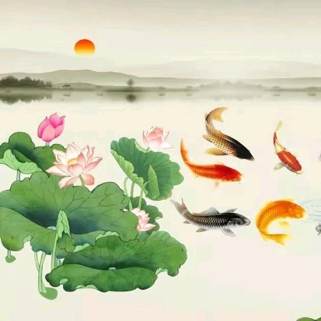 滢滢滢