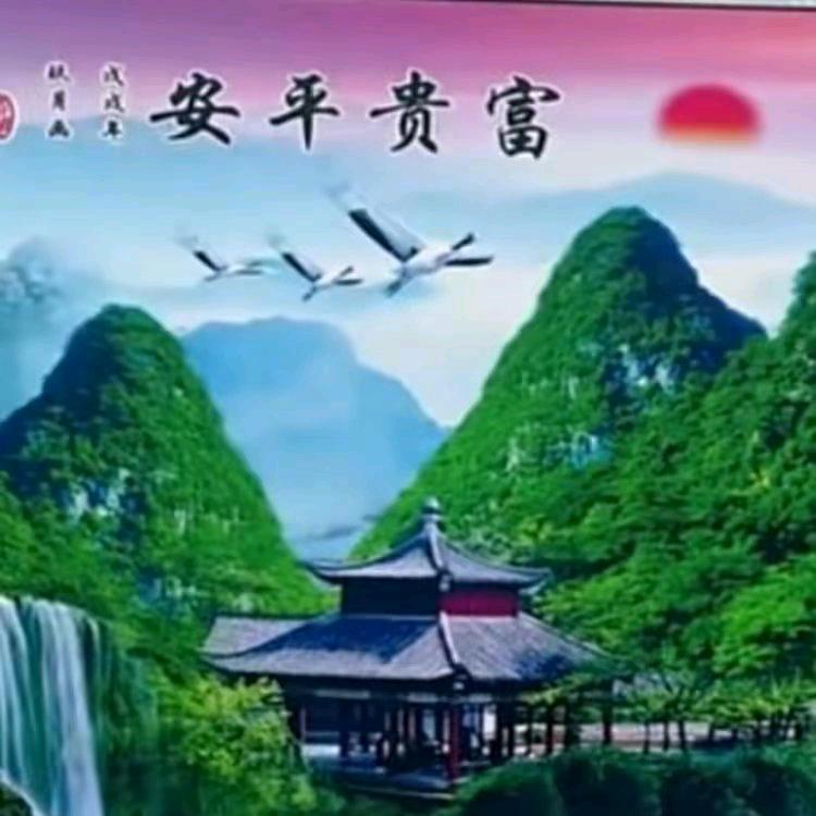杨总部