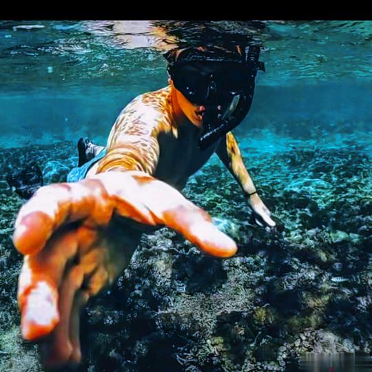 巴黎铁塔的悲伤