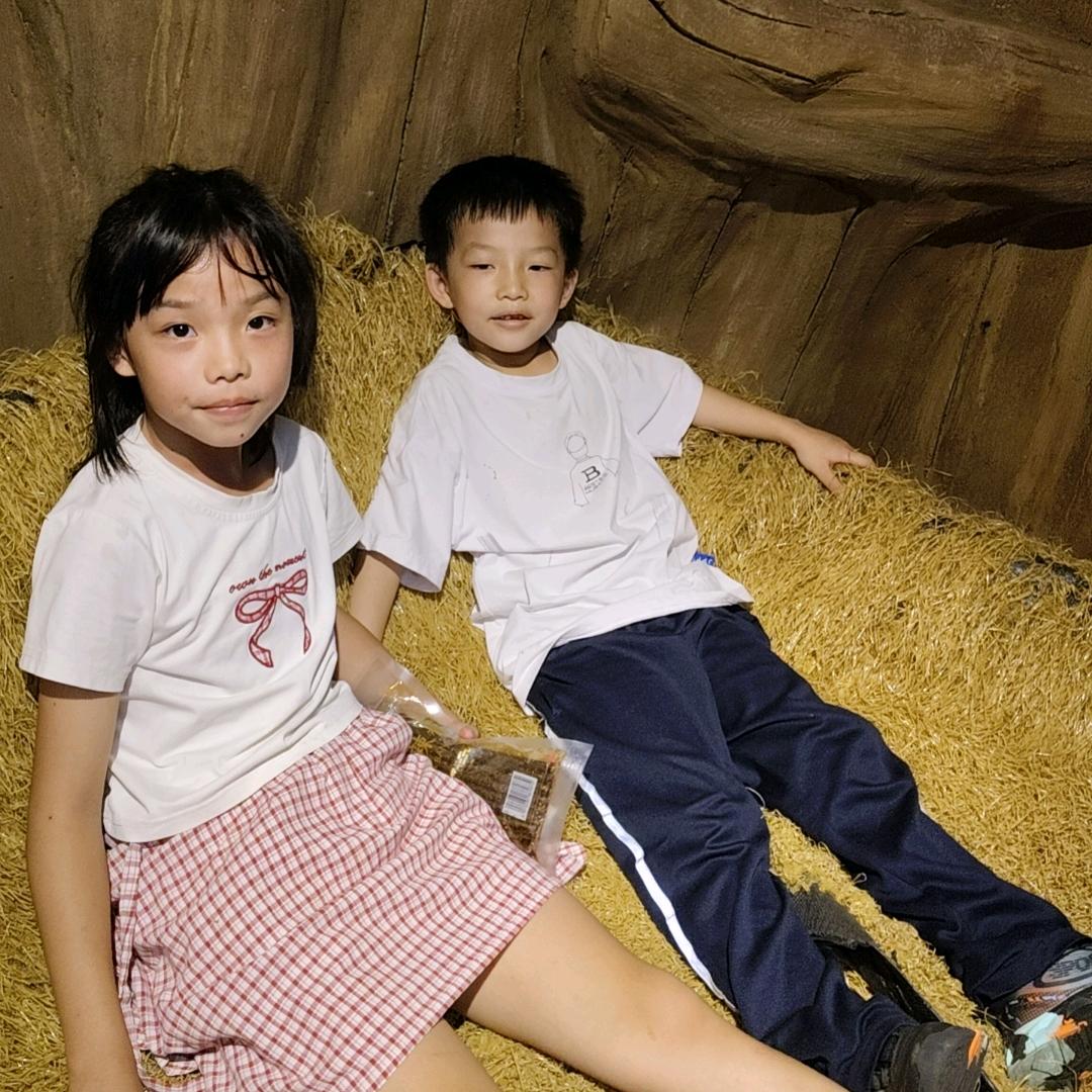 极速白合建筑工程队