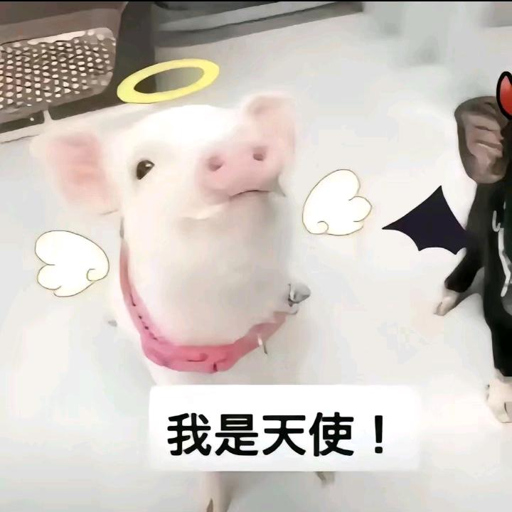 情夫老婆是拉