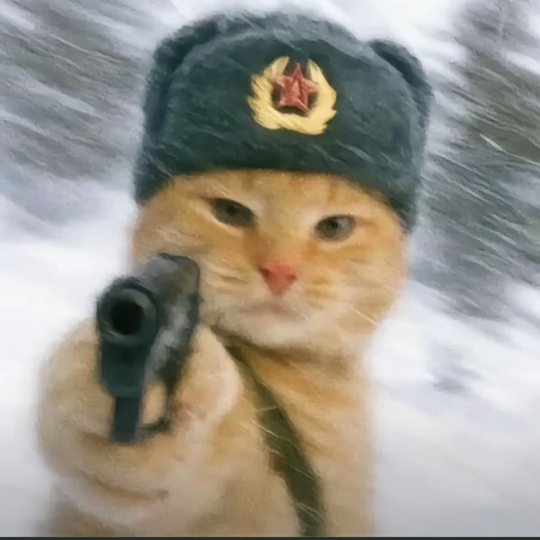 枫雨（三角洲摸金版）