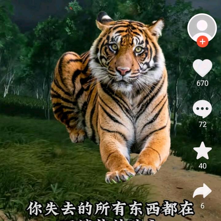 振鑫