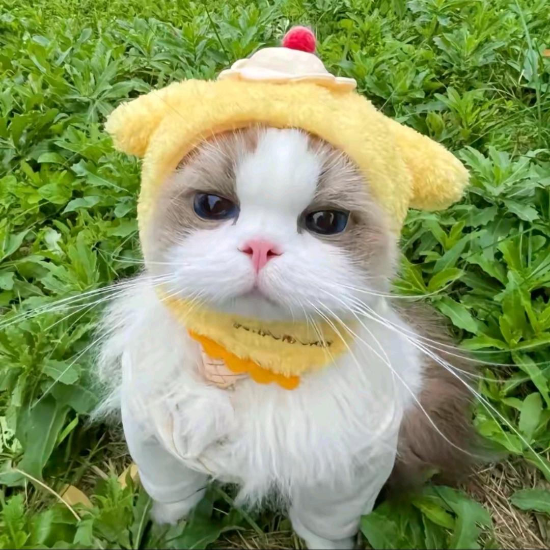 睡个好觉不难