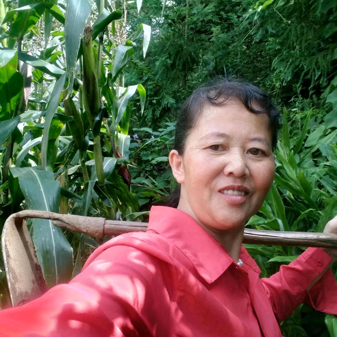开心姐